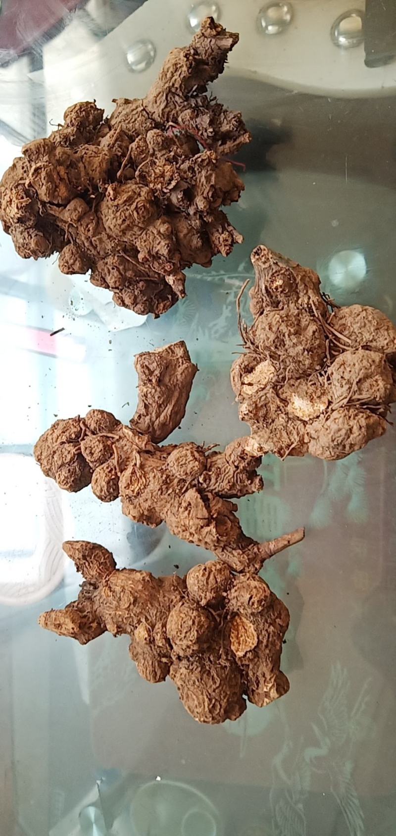 苍术2023新产苍术干货二十吨。