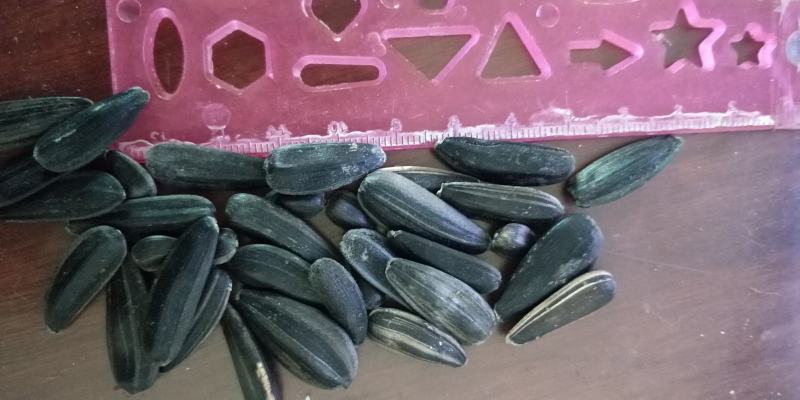 黑葵花籽，炒货专用，颗粒饱满，2020新货