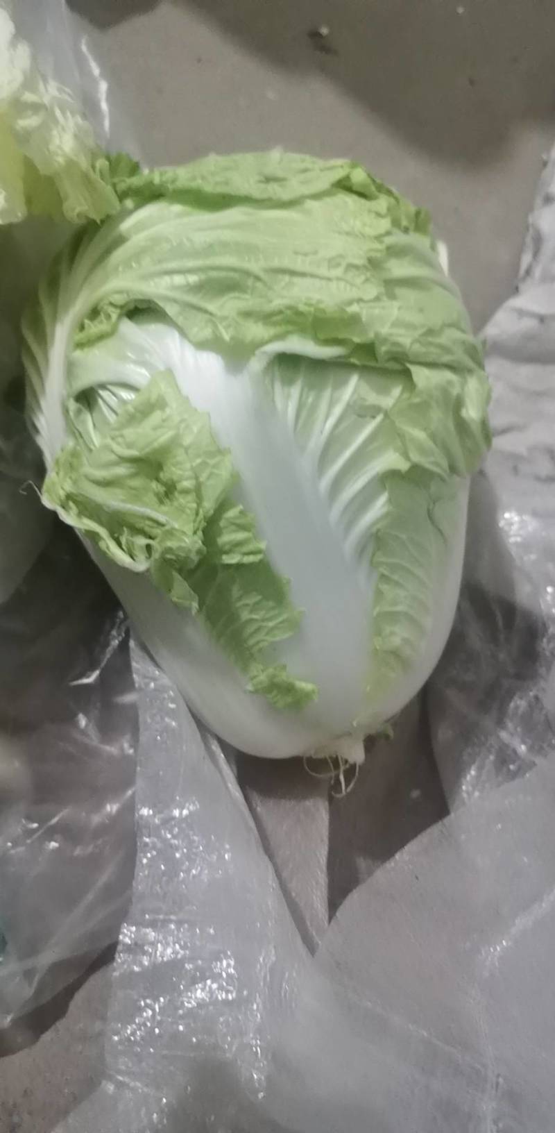 卖白菜，上地直装，不包含运费，二毛一斤，非诚勿扰！