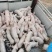 出售三元仔猪10-60公斤高成活率高代办运输