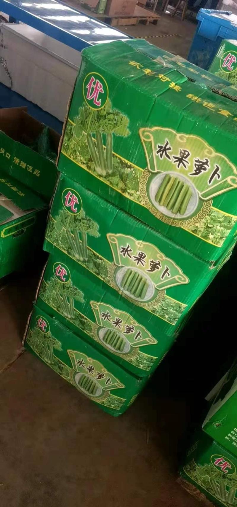 山东潍坊萝卜，供应电商，加工厂，批发，零售