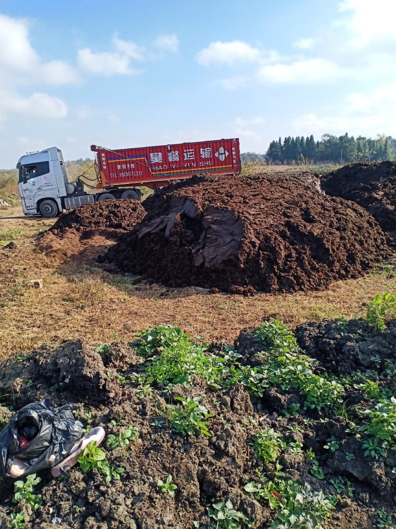 牛粪，生牛粪，无添加任何物质的纯牛粪，牛圈里出栏的牛粪，