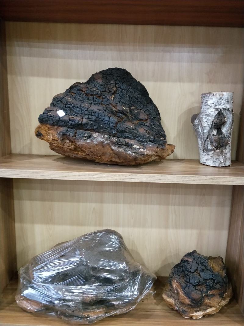 东北纯野生桦树茸无染色，无提取无添加，产地批发一手货源