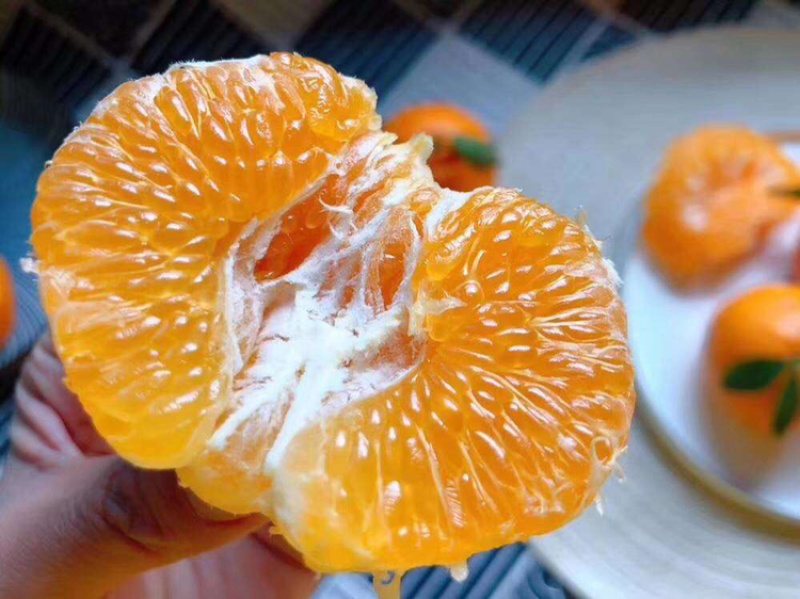 【一件代发】春见耙耙柑果肉饱满支持一件代发物流走货