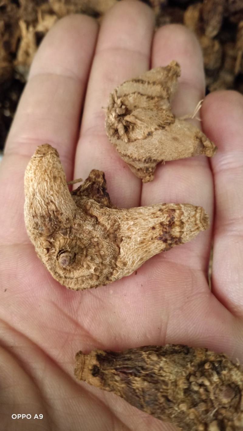 重楼片可交药厂价格实惠含量高云南粉