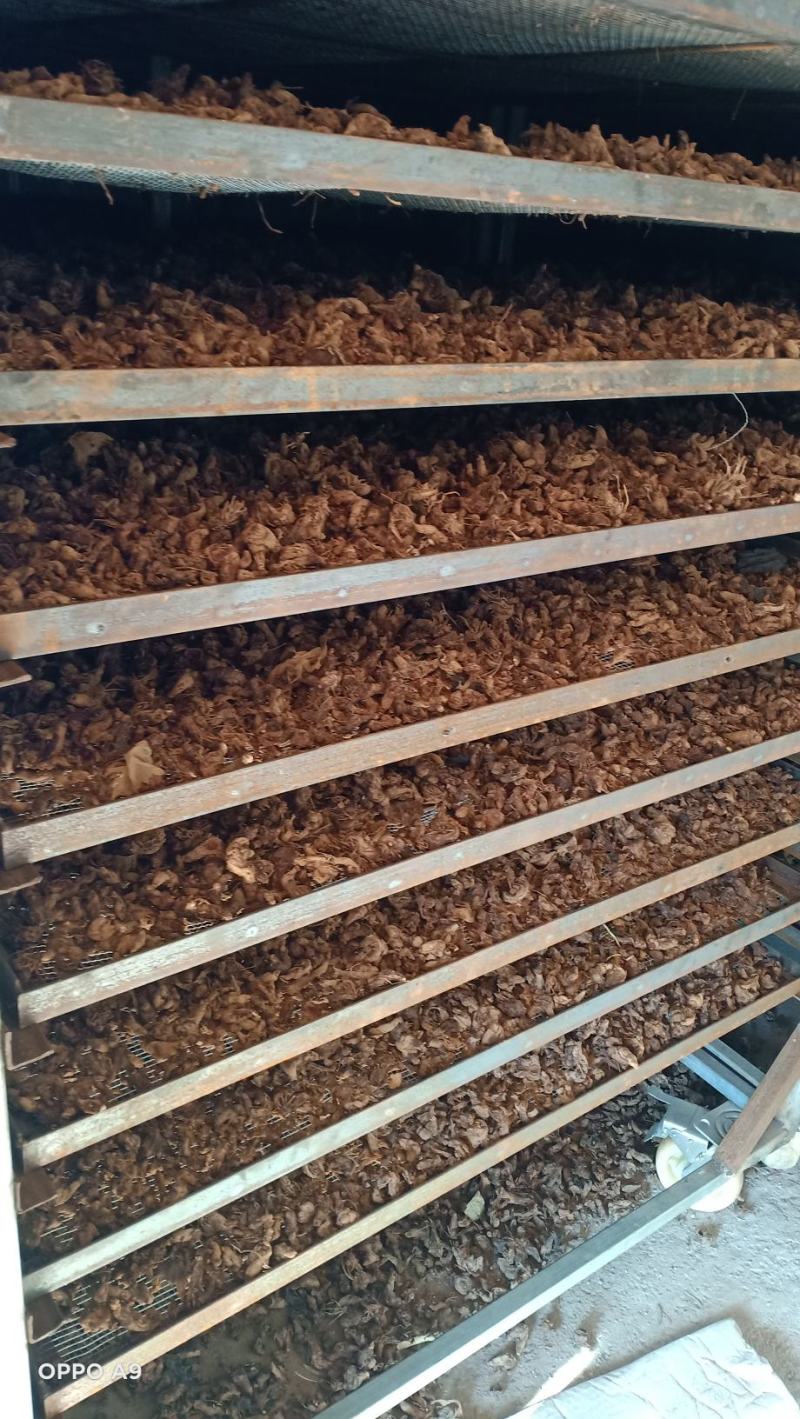 重楼片可交药厂价格实惠含量高云南粉