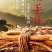 五指毛桃苗，中药材，易管理，收益高
