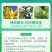 二甲戊灵施田补33%二甲戊灵甘蓝玉米棉花一年生杂草农药