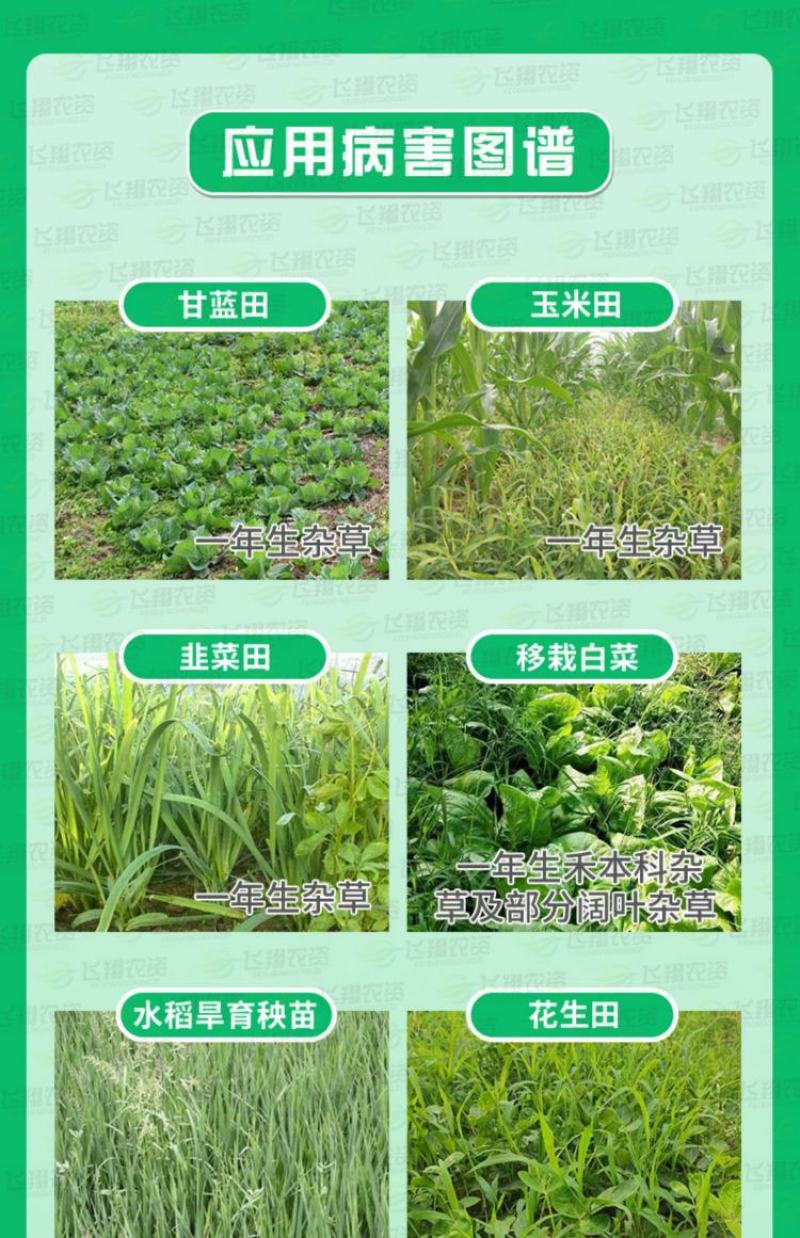 施田巧二甲戊灵面前封闭除草剂施田补蔬菜
