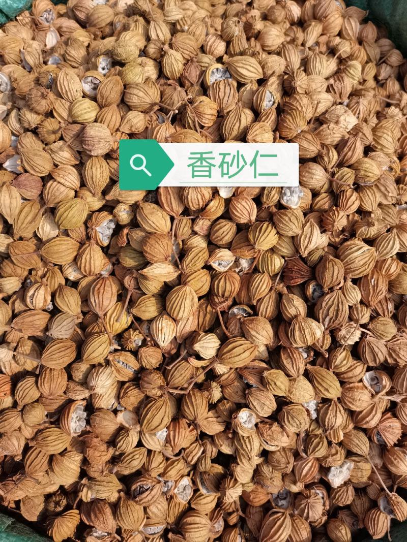香砂川香砂大货供应国产进口香料大全