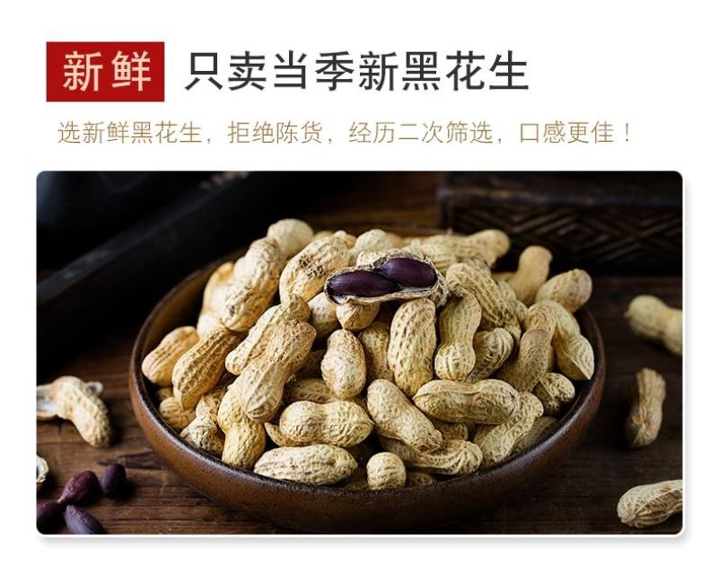 黑花生颗粒饱满颗粒大色泽亮颗粒均匀全国发货