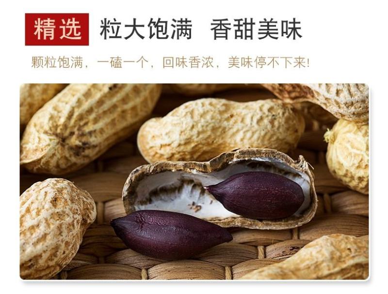 黑花生颗粒饱满颗粒大色泽亮颗粒均匀全国发货
