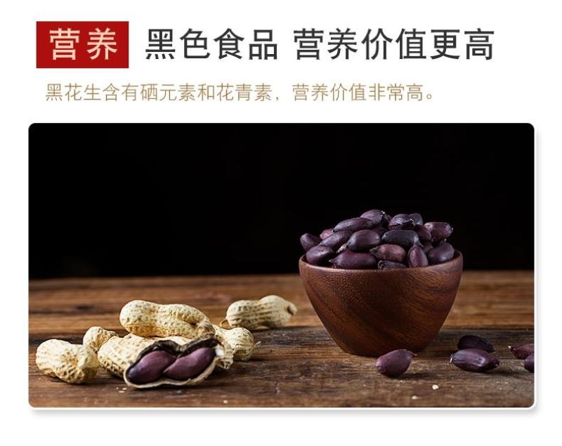 黑花生颗粒饱满颗粒大色泽亮颗粒均匀全国发货