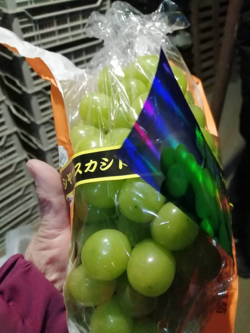 阳光玫瑰，质量好，口感好吃，好运输，大量有货，每天供应