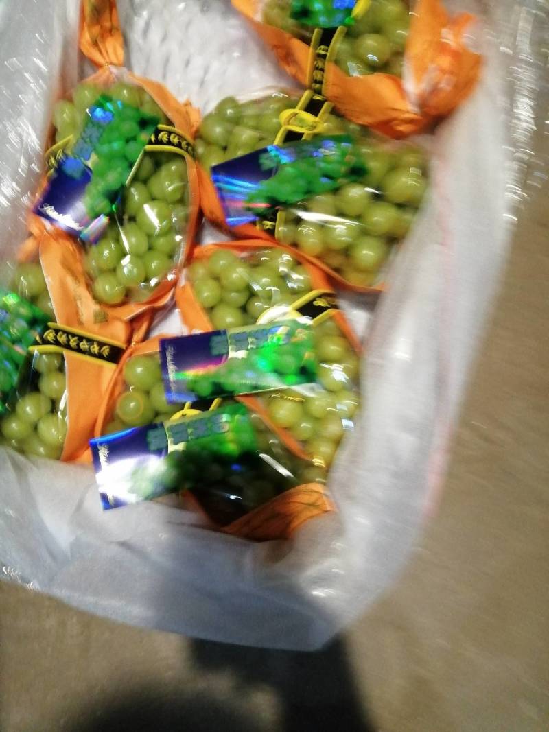 阳光玫瑰，质量好，口感好吃，好运输，大量有货，每天供应