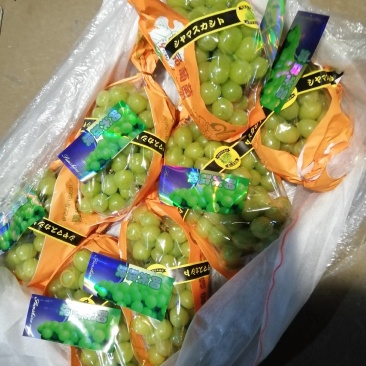 阳光玫瑰，质量好，口感好吃，好运输，大量有货，每天供应