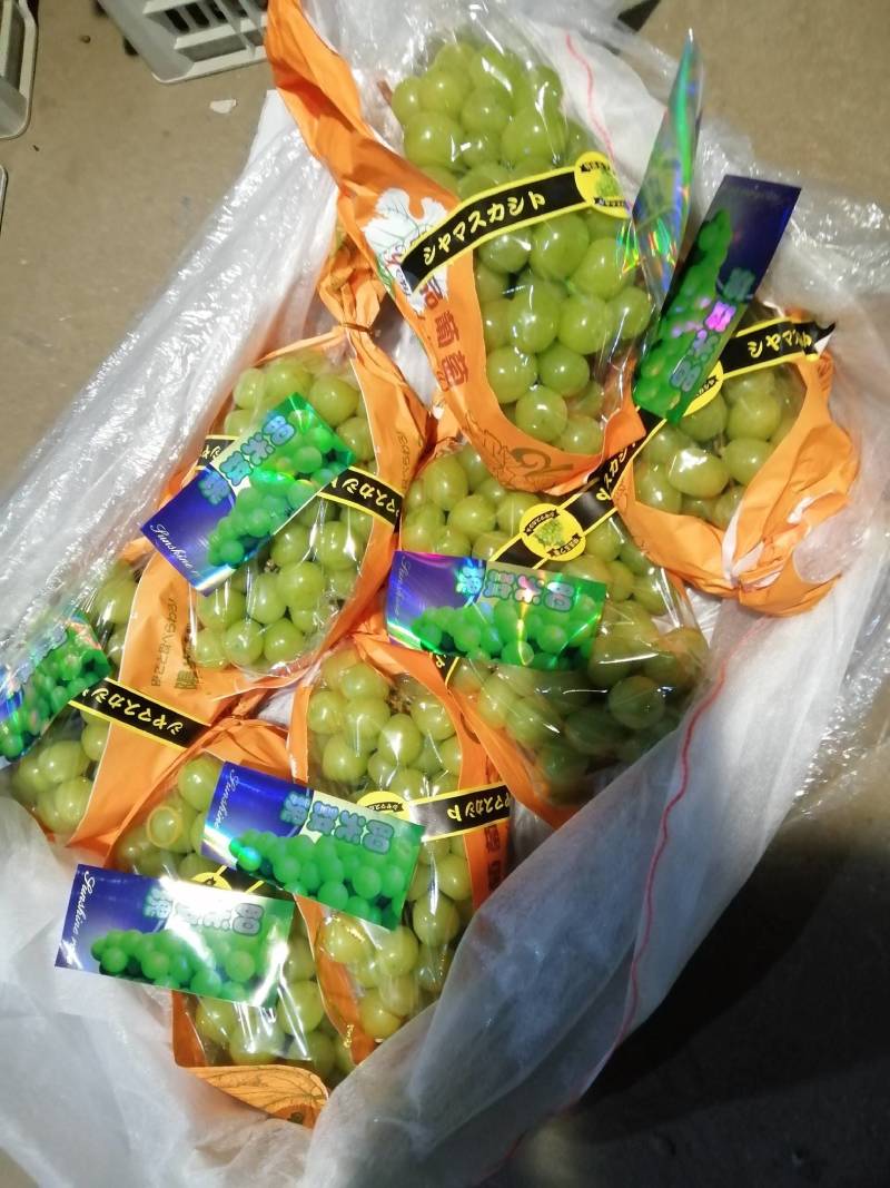 阳光玫瑰，质量好，口感好吃，好运输，大量有货，每天供应