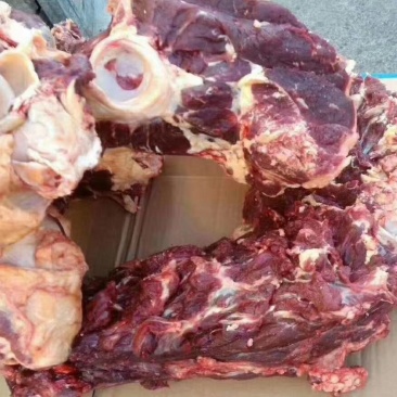 肉大牛骨头，骨髓满满《厂家直销》