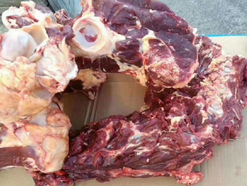 肉大牛骨头，骨髓满满《厂家直销》