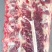 肉大牛骨头，骨髓满满《厂家直销》