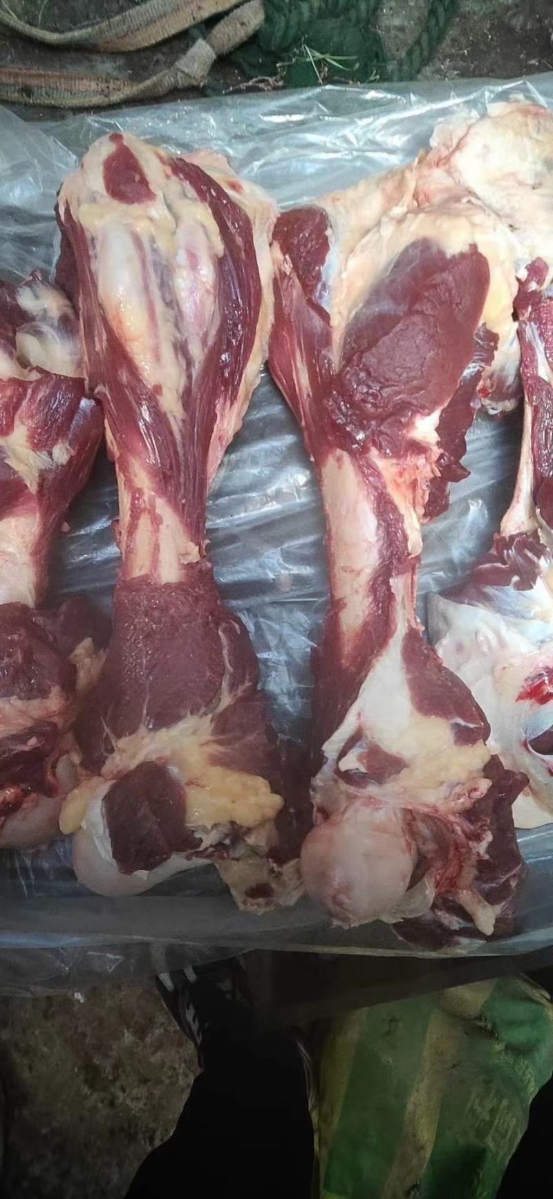 肉大牛骨头，骨髓满满《厂家直销》