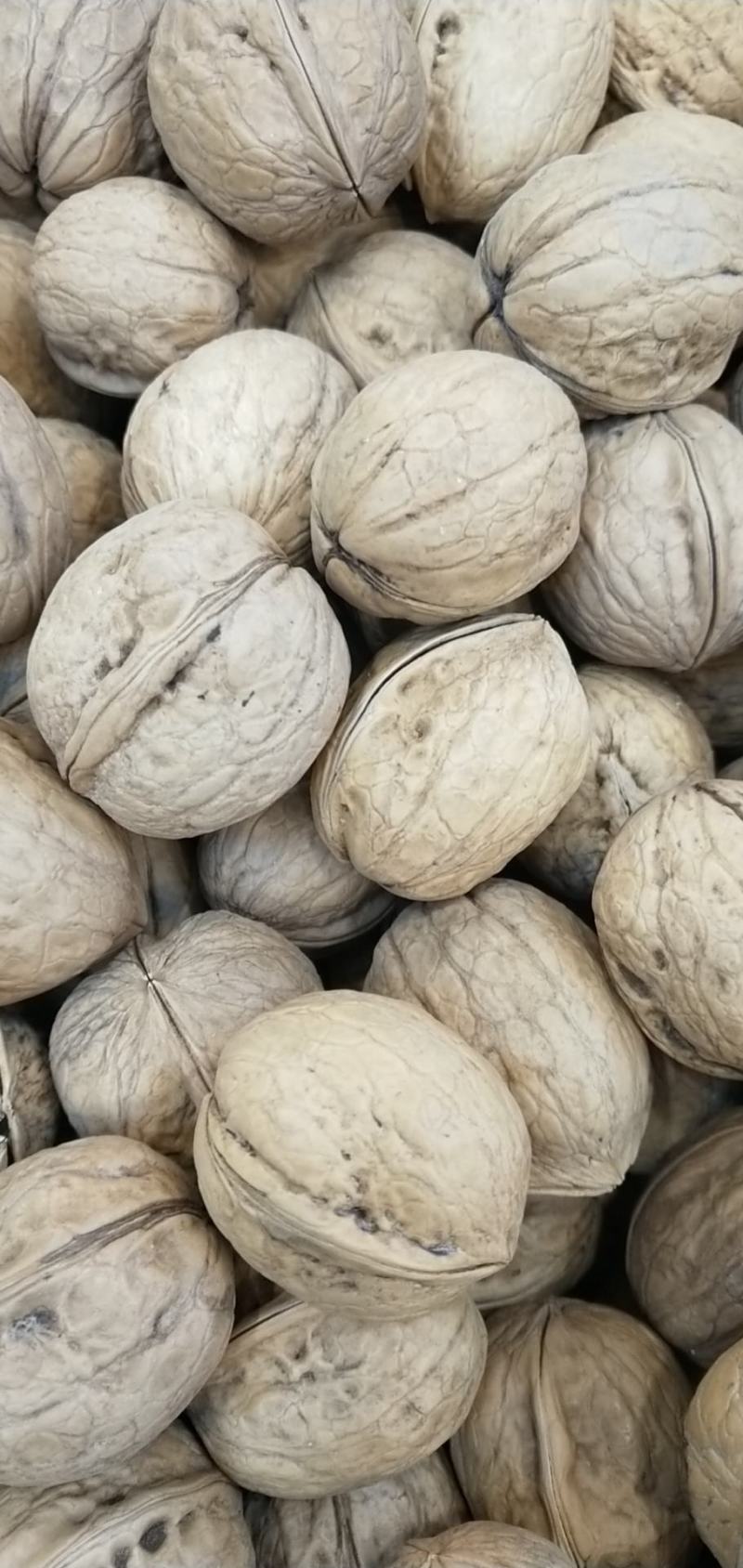 新疆185纸皮核桃炒熟奶油味、五香味，各种味任你选择