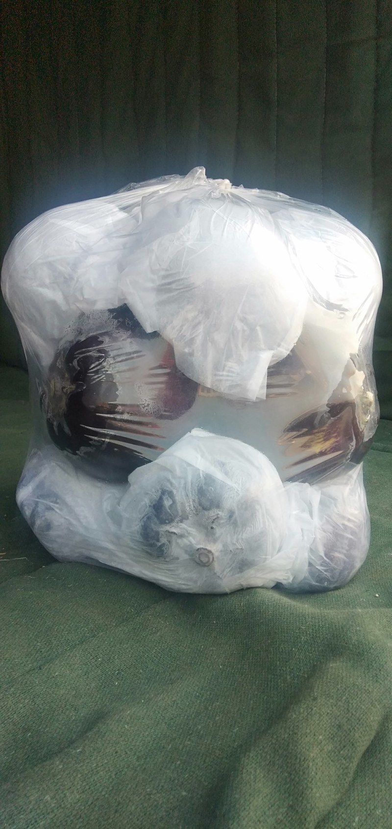 【精品】圆茄紫光茄质量保证，各种打包都可以