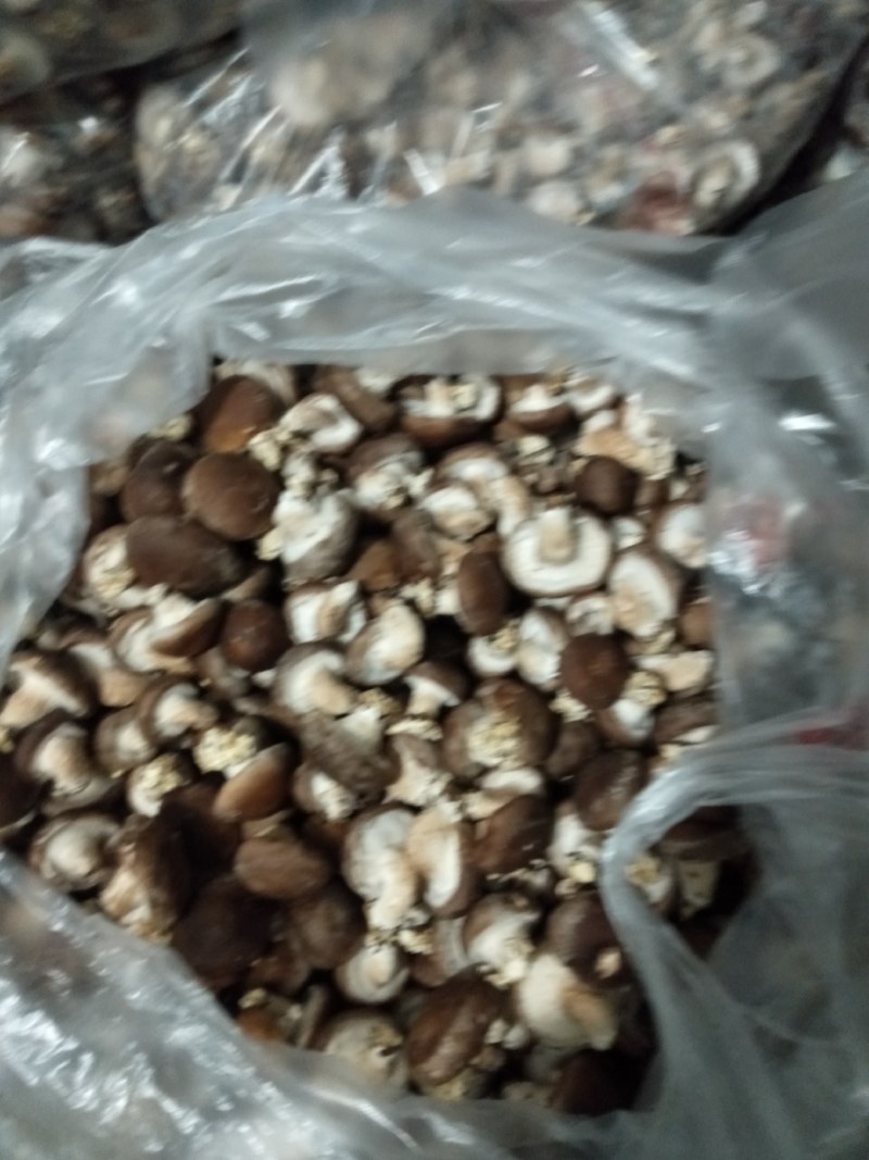 自己种的。大鹏鲜香菇。