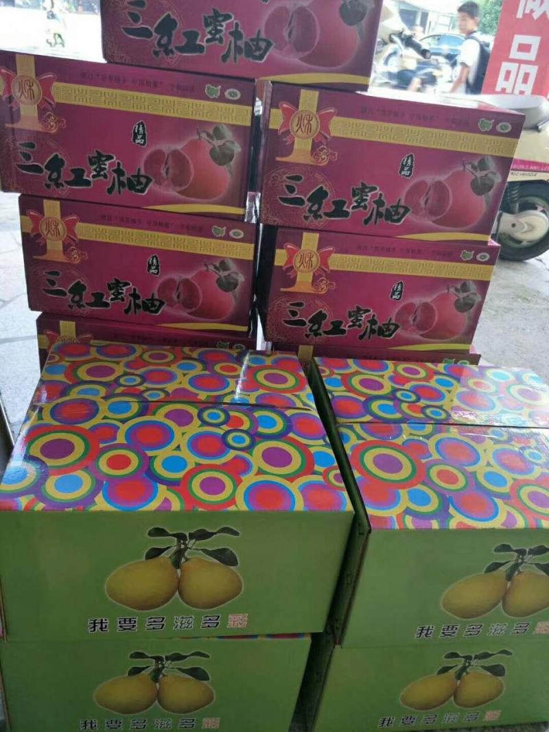 琯溪三红柚苗.产地直发.三红蜜柚苗正宗现挖现发.质量保证