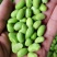 【精选】江苏鲜毛豆粒，大量供应，诚信经营欢迎来电