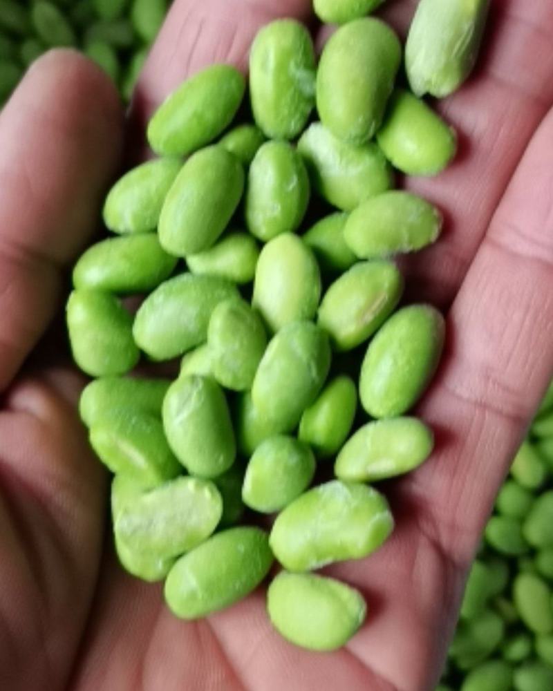【精选】江苏鲜毛豆粒，大量供应，诚信经营欢迎来电