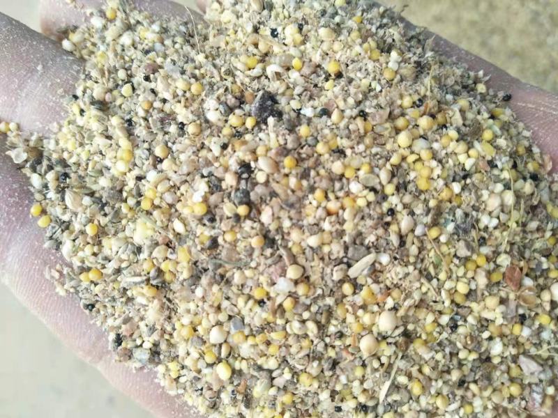 碎小米养殖专用大量供应，价格低直接替代玉米使用，能量高，