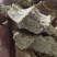 碎小米养殖专用大量供应，价格低直接替代玉米使用，能量高，