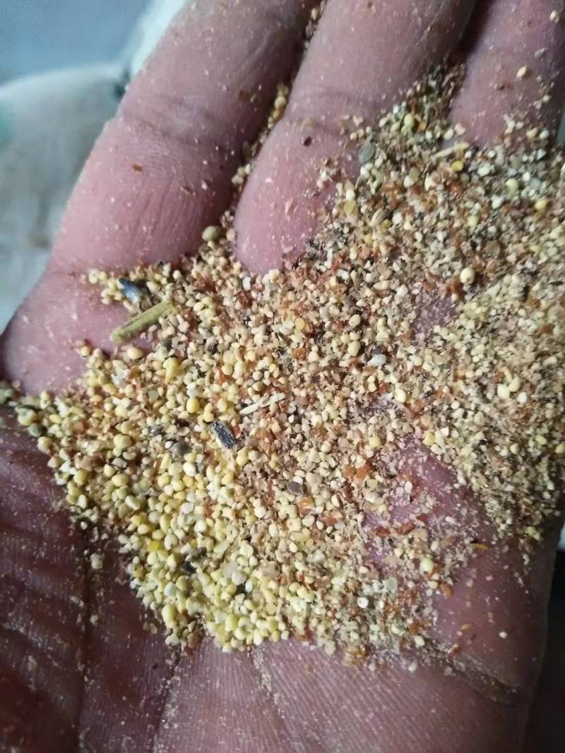 碎小米养殖专用大量供应，价格低直接替代玉米使用，能量高，