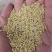 碎小米养殖专用大量供应，价格低直接替代玉米使用，能量高，