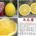 新品.橙子苗.木瓜蜜丁苗纽荷尔脐橙苗.木瓜蜜丁苗品质保证