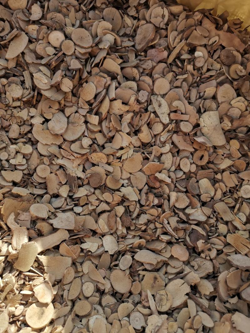 乌药产地高含量无硫乌药正品有保证乌药片
