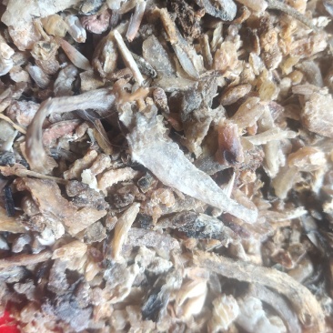 饲料级熟鱼块.盐份低.气味好