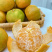 正宗长泰状元芦柑一件代发高端市场