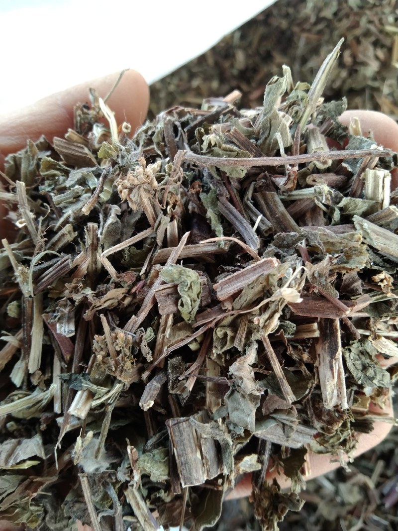 薄荷产地直供支持线上交易可搭配多品种采购大货联系客服