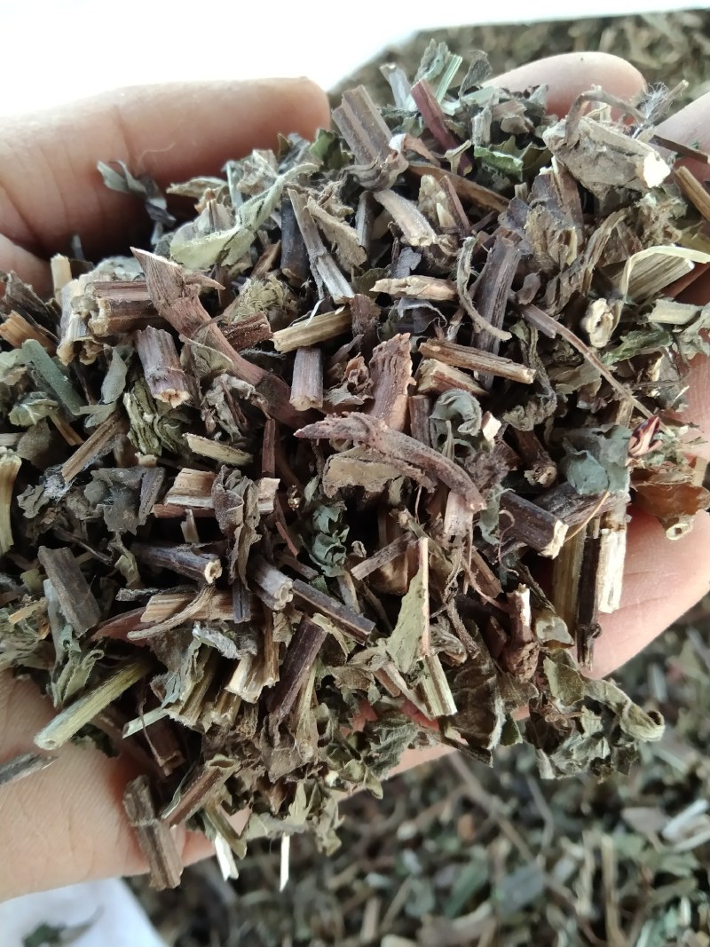 薄荷产地直供支持线上交易可搭配多品种采购大货联系客服