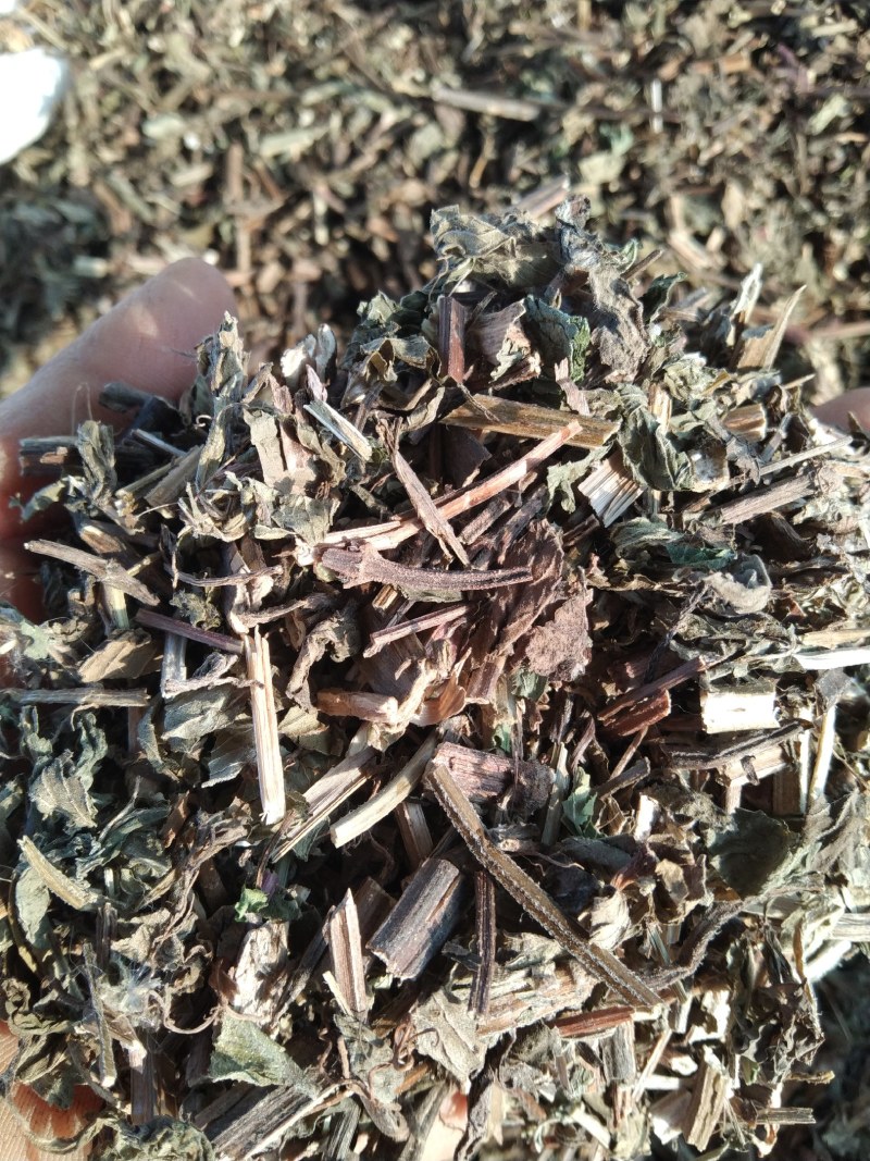 薄荷产地直供支持线上交易可搭配多品种采购大货联系客服