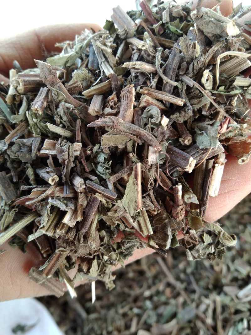 薄荷产地直供支持线上交易可搭配多品种采购大货联系客服