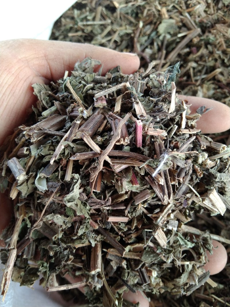 薄荷产地直供支持线上交易可搭配多品种采购大货联系客服