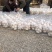 桶装蛋大鸭蛋农村特产桶装大白蛋咸鸭蛋