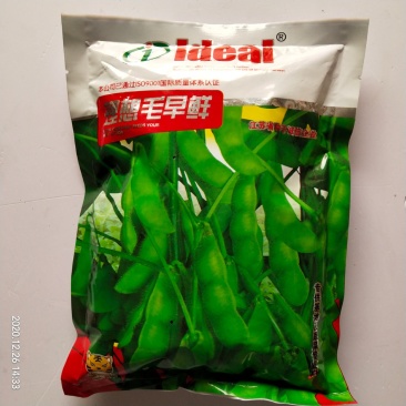 毛豆种子极早熟大粒毛豆青豆高产品种种子