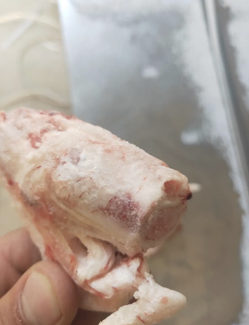 羊拐骨羔羊拐筋满劲满骨髓饭店优选量大价优