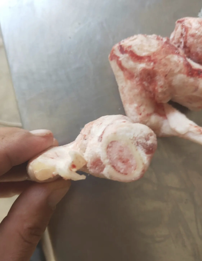 羊拐骨羔羊拐筋满劲满骨髓饭店优选量大价优
