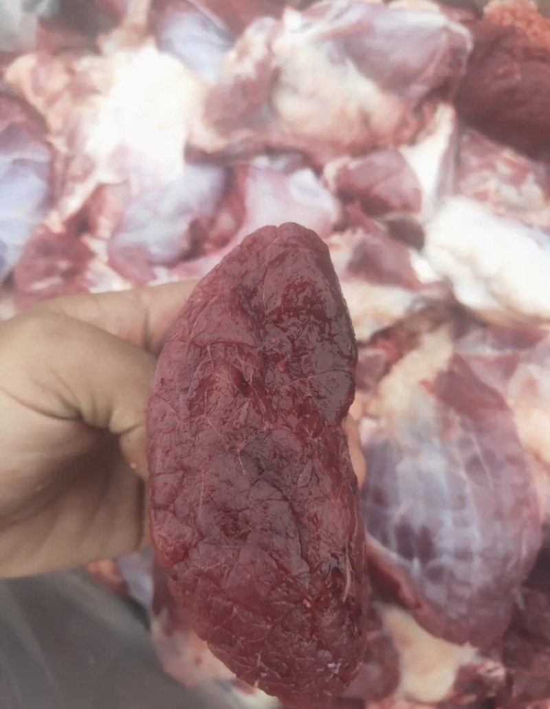 牛肉块几乎无油大块碎肉质量上乘量大价优饭店必备