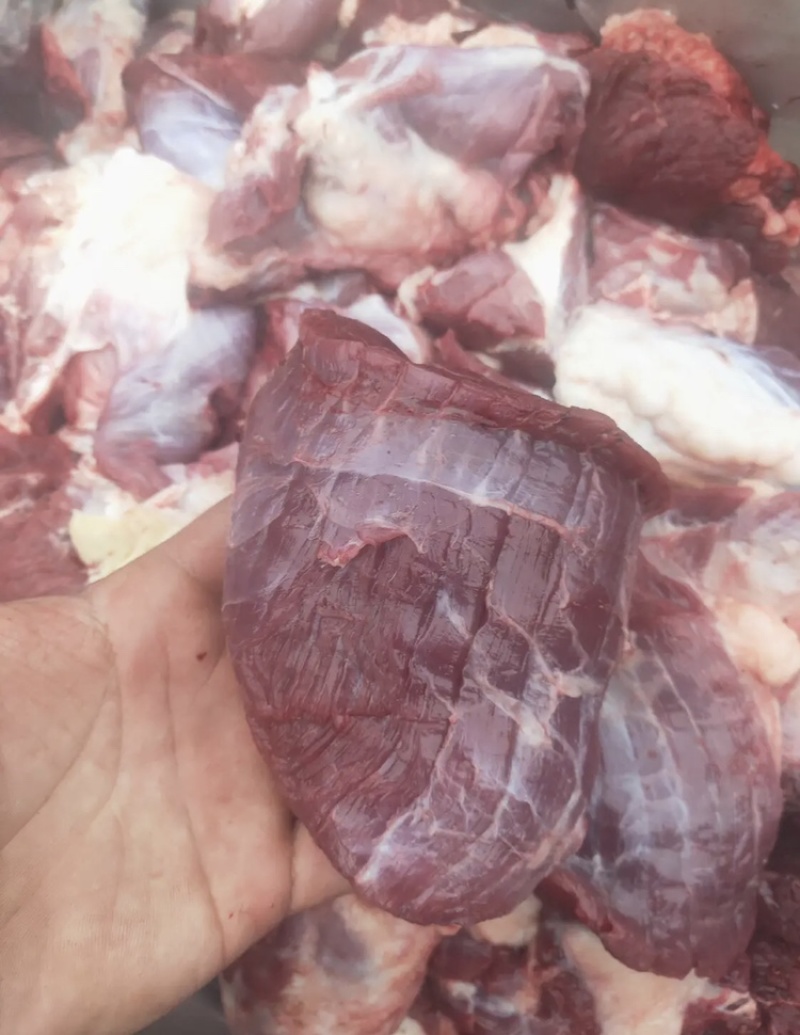 牛肉块几乎无油大块碎肉质量上乘量大价优饭店必备